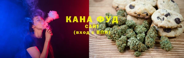 ПСИЛОЦИБИНОВЫЕ ГРИБЫ Михайлов