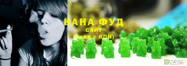 ПСИЛОЦИБИНОВЫЕ ГРИБЫ Михайлов
