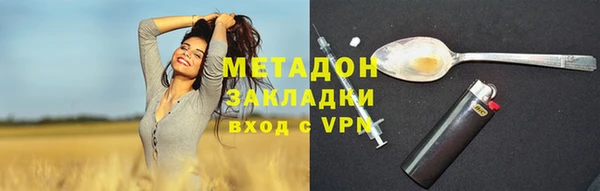 ПСИЛОЦИБИНОВЫЕ ГРИБЫ Михайлов