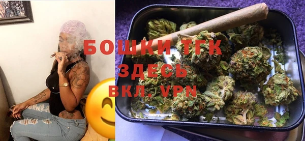 ПСИЛОЦИБИНОВЫЕ ГРИБЫ Михайлов