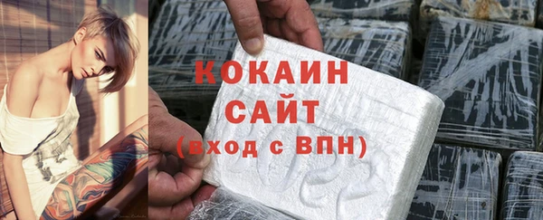 ПСИЛОЦИБИНОВЫЕ ГРИБЫ Михайлов