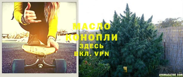 ПСИЛОЦИБИНОВЫЕ ГРИБЫ Михайлов