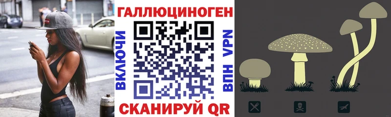 Галлюциногенные грибы Magic Shrooms  Ленинградская 