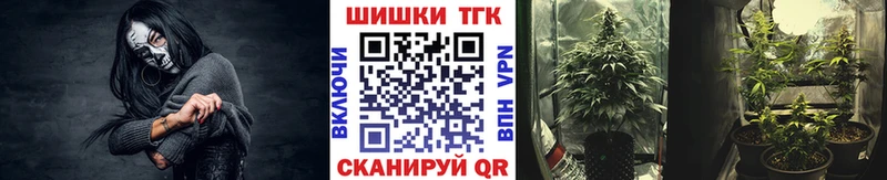 цены наркотик  Ленинградская  блэк спрут ССЫЛКА  Каннабис индика 